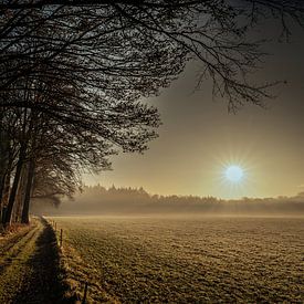 Morgensonne über einer nebligen Wiese von Arjan Stunnenberg