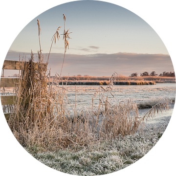 Winterse rijp in de polder van Rossum-Fotografie