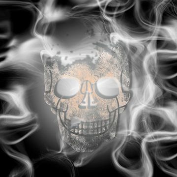 Digital-Art Smoke & Skull van Melanie Viola