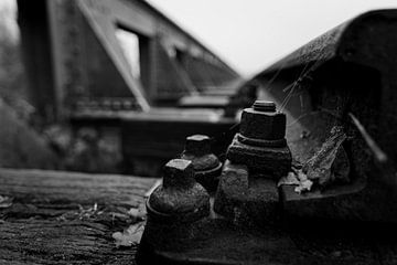 Echo of Iron and Silence Black and White