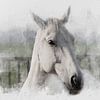 Het witte paard 02 van Olaf Bruhn