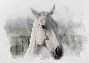 Das weiße Pferd 02