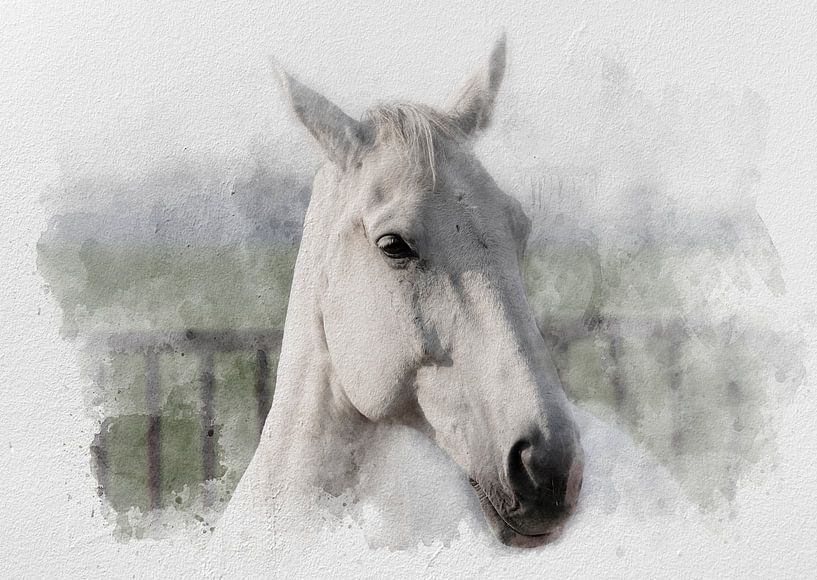 Le cheval blanc 02 par Olaf Bruhn