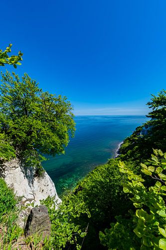 Au Königsstuhl avec vue sur le Victoria, île de Rügen, parc national de Jasmund