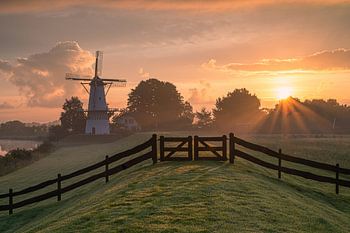 Windmühle der Schmetterling mit Sonnenaufgang und schön gefärbtem Himmel