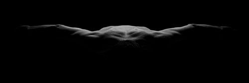 Als ik toch kon vliegen 