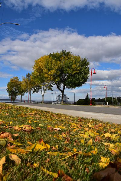 Die Rue du quai im Herbst von Claude Laprise