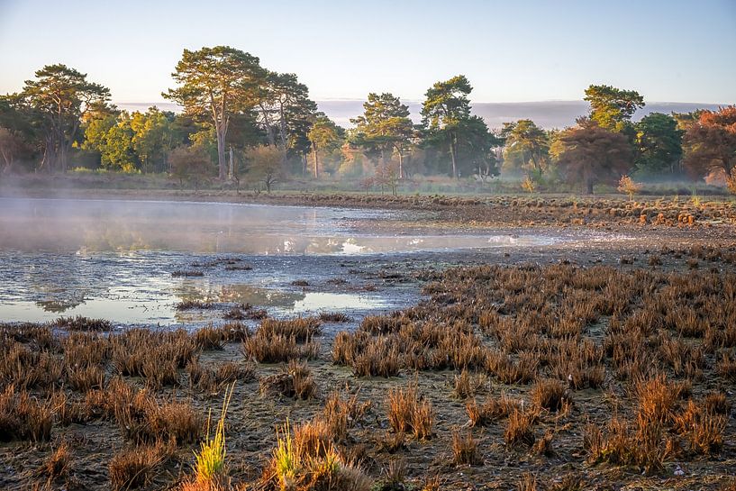 Day breaks on the Strijbeekse Heide by Leon Okkenburg