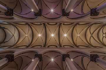 Het paarse dak van de Karmelietenkerk. van Werner Lerooy