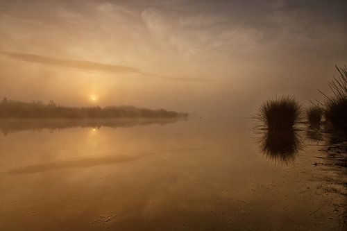 Goudkleurige zonsopkomst Dwingelderveld