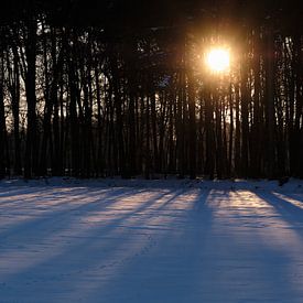 Lever du soleil sur le chêne sacré sur Jan Kooreman