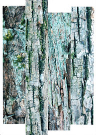 Structures en troncs d'arbres n° 22 sur GreenART by Hubert Fenzl
