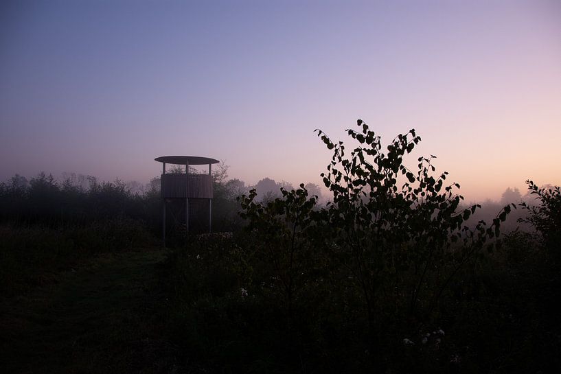Lever de soleil dans la forêt de Beekberger par Esther Gerritsen