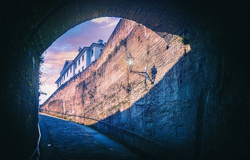 Tunnelzicht vanaf Königstein in Bad Schandau