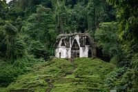 Tempel in Palenque