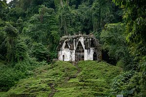 Tempel in Palenque von Laurens Kleine
