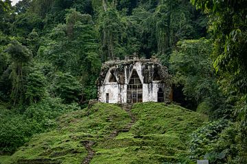 Temple in Palenque van Laurens Kleine