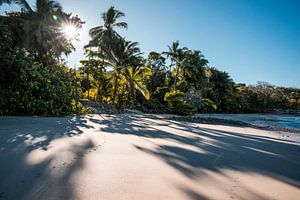 Plage tropicale au soleil du matin