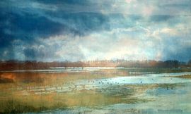 Watery winter landscape by Anita Snik-Broeken