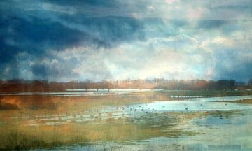 Watery winter landscape by Anita Snik-Broeken