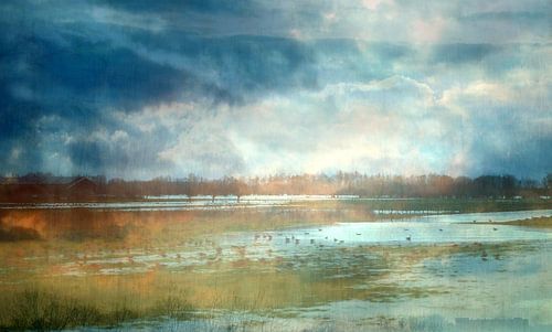 Watery winter landscape
