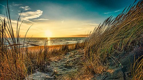 La mer du Nord et les dunes dans l'art numérique