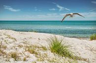 Urlaub an der Ostsee von Dieter Beselt Miniaturansicht