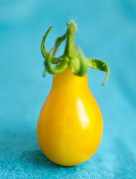 Gele peer tomaat op blauw van Iris Holzer Richardson