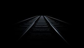 Zuggleis Porträt von TheXclusive Art