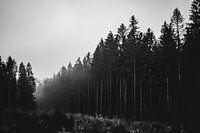 Belgische Ardennen