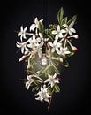 Illuminated Art - The Flowering Azalea von Marja van den Hurk Miniaturansicht
