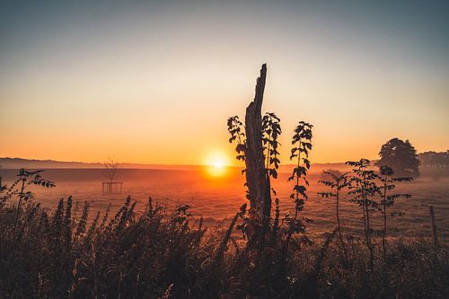 Herfstochtend in het Reinhardswald
