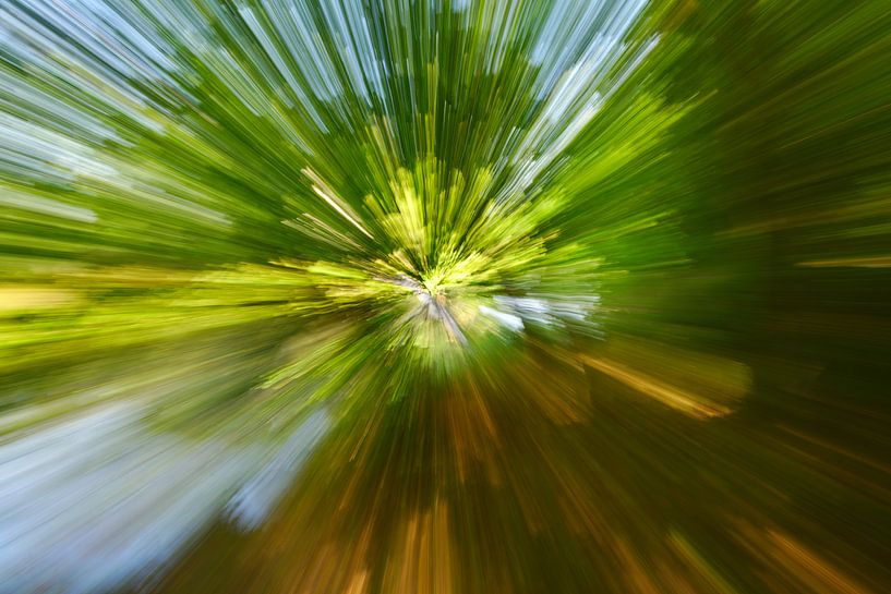 Splash par Steffi Hommel