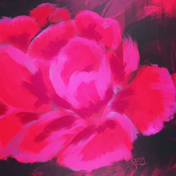 Roze Roos van Go van Kampen
