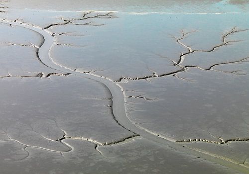 Boues à marée basse dans le Dollard