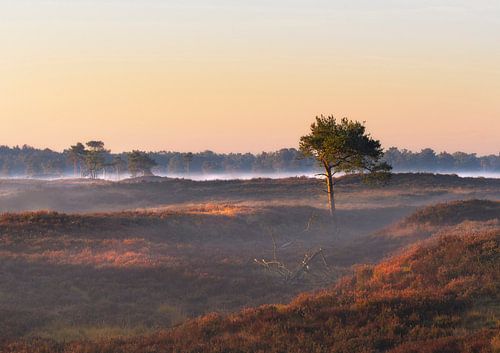 Jeu de lumière et d'ombre
