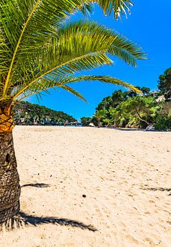 Mallorca zandstrand Cala Santanyi met palmbomen, Spanje van Alex Winter