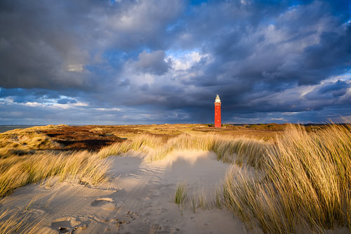 Vuurtoren in de duinen