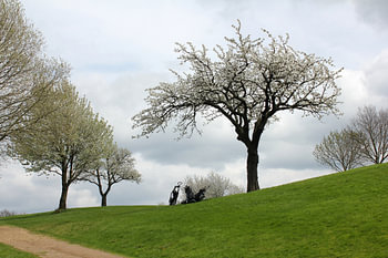 Le printemps sur le terrain de golf