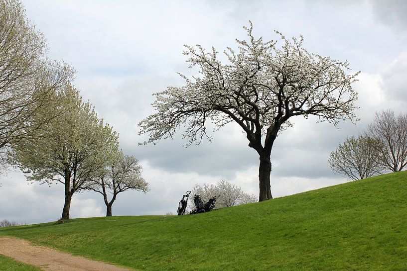 Frühling auf dem Golfplatz von Rob Hendriks