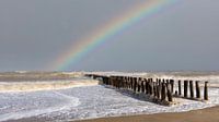 Spectaculaire regenboog