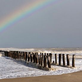 Spectaculaire regenboog van Kees van der Have