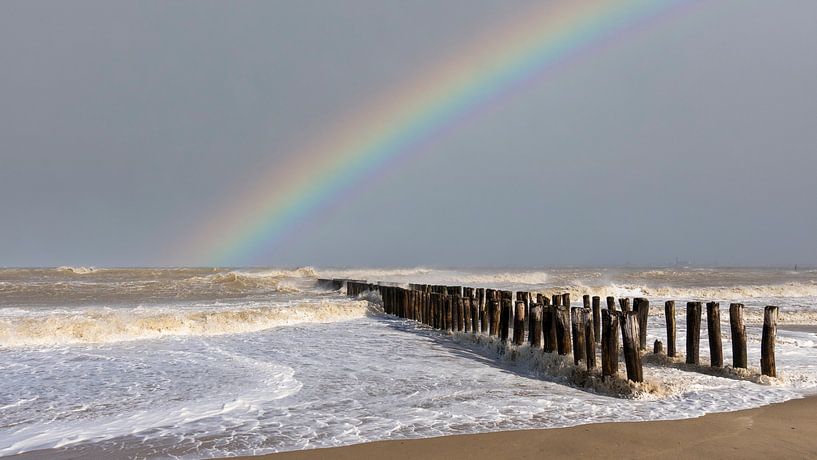 Spectacular by Kees van der Have