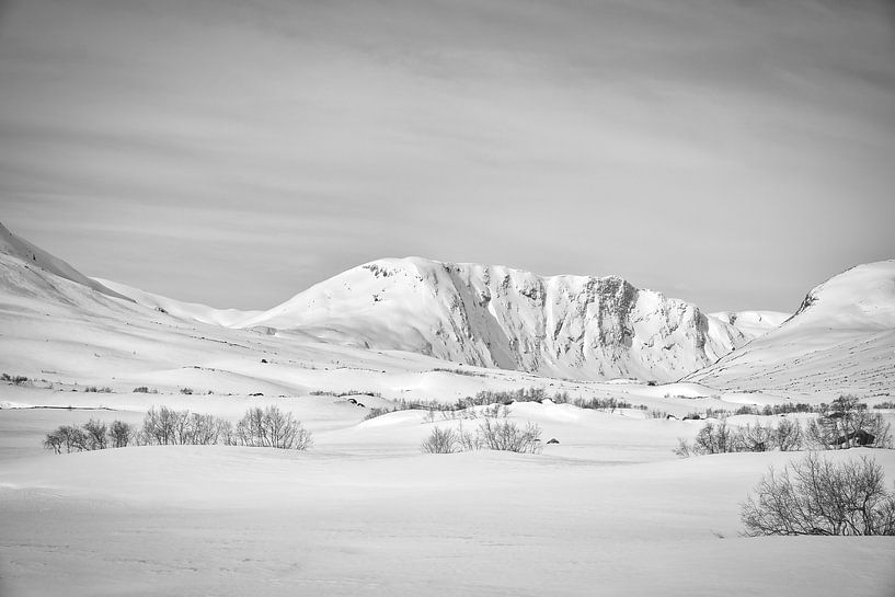 Norwegian high mountains, snow-covered mountains and landscape in black and white by Martin Köbsch