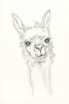 Alpaca portret van Karen Kaspar