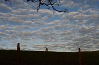 Himmel voller Wolken von Susanne Seidel Miniaturansicht