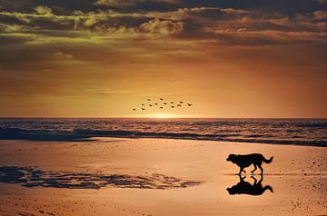 on the beach by Elianne van Turennout