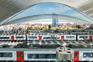 Trains at Liege-Guillemins station. by Wim Stolwerk