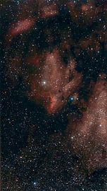 IC 5070 Pelican nebula van Nildo Scoop