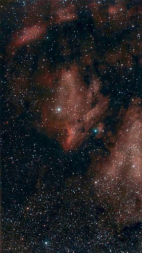 IC 5070 Pelican nebula by Nildo Scoop
